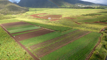 The Geography of Farmland