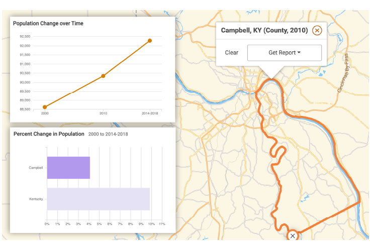 reports insights example