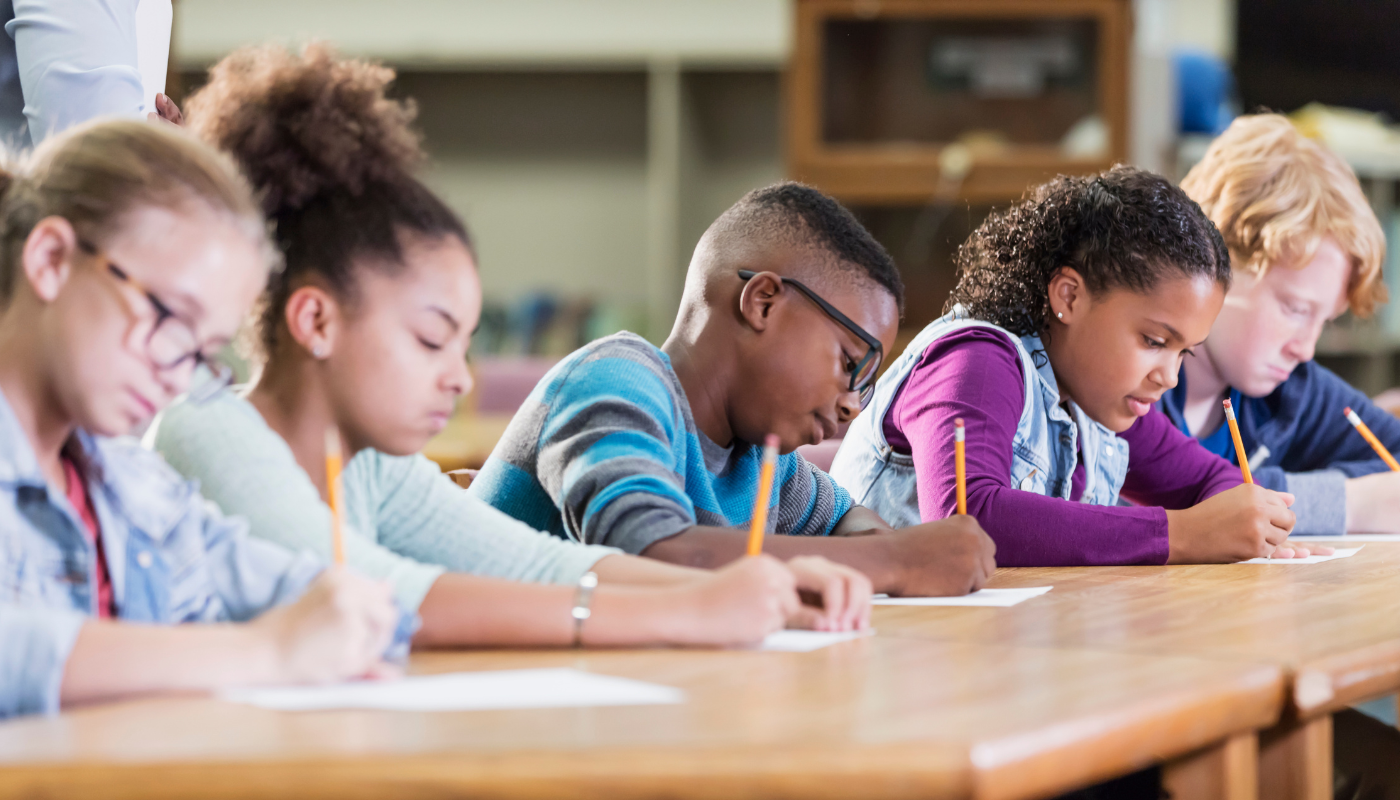 From Ratings to Reach: Visualizing School Performance with Niche